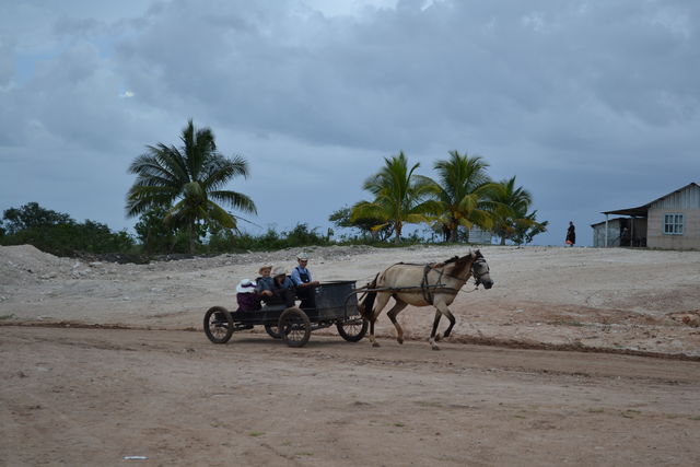 Menonitas en carreta (Bacalar)